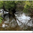 로하스대청공원 이미지