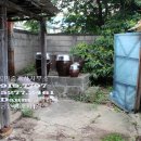 송해면-4 이미지