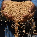 (주)우성팜 이미지