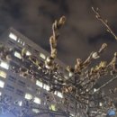 신방화역 4번출구 앞 이미지