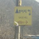 세이지힐 오토캠핑장 이미지