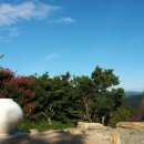 축령산휴림 이미지