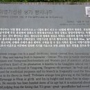 나무가람 네이버블로그