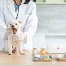 활기찬동물병원 이미지