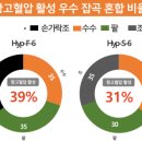 항고혈압 활성 높은 최적 잡곡 혼합 비율 찾아- 손가락조‧수수‧팥 혼합비 ‘30:35:35’일 때 항고혈압 활성 39%로 가장 높아- 이미지