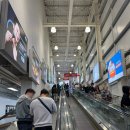 첨단로 | 코스트코 패딩 할인 추천 네파 아르테 패딩만큼 예쁨! 여성 패딩 착용 후기