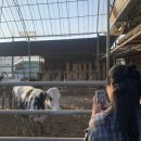 순용목장 이미지