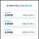 la 여행 코스 조슈아트리 국립공원 투어 자유여행 스팟 추천 날씨 후기 🌵