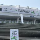 점섬체육관 | 📗제주북페어📗솔직후기💚 요즘 뭐하지? 책보고 귀여운 것도 보는거 어때