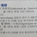 에이메디칼약국 네이버블로그