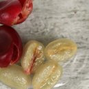 허니농장 이미지