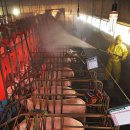 추월농장 이미지