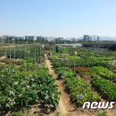 낙성대동-38 이미지