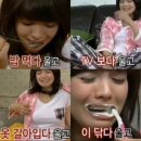삐삐탕후루 | 7/25-26 세투논 고베콘 첫콘 막콘 후기