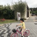 차이나소담 이미지