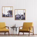 까사하나 이미지