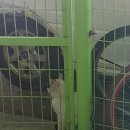 계림약국 이미지