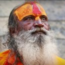 삶 - 그 언저리 이미지