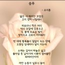 모자지간 이미지