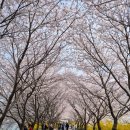 승월경로당 이미지