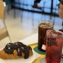 cafe 255 (카페 이오오) | 상봉 디저트 맛집 홍다다 왁뿌소금빵이 맛있는 감성 상봉 반려 동물 동반카페