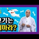 개고기는 먹지 마라? - 자현스님의 붓다로드 29회 이미지