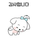 그랜드 애견 미용 이미지