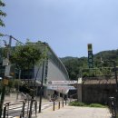 중랑체육관 | [중랑구] 중랑문화체육관 주말 자유수영 후기