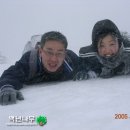 백년나무