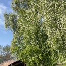 청운오토캠핑장 이미지