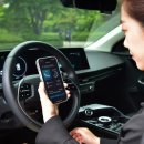 라이프케어(Lifecare) 이미지