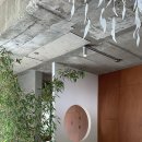 공주다방 이미지