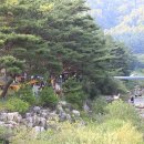 엄둔 솔밭 빌리지 이미지