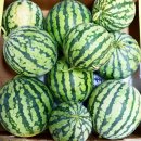 다래농원 이미지