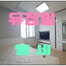 보광스타공인중개사사무소 이미지