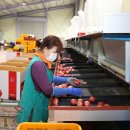 무풍 농산물산지유통센터 이미지