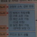 산호유통 | 중세의 사회와 경제