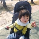 아이뜨락생태놀이터 | 청주 아기랑 가볼만한곳 문암생태공원, 대형 놀이터와 맨발걷기 황토길 놀이 후기