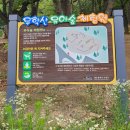 숲체험 리틀 포레스트 이미지