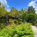 정기농약사 이미지