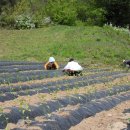 북바우농장 이미지