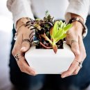 현대생활건강 이미지