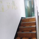 스누피 펫살롱 이미지