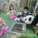 세계유치원 이미지