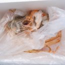 소도수산 이미지