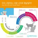 안양김준동물병원 이미지