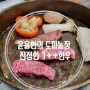 윤용현의도끼농장 이미지