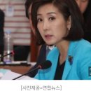 나경원 “文 지지율, 득표율로 계산하면 35％…여론조사의 함정” 이미지