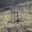 독골농장 이미지