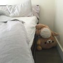 케미큐 | 기적 같던 우리를 기억해 줄래[제로베이스원 HERE&amp;NOW 앵콜콘 후기]